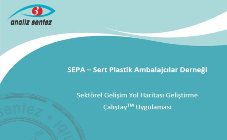 SEPA Sektörel Gelişim Raporu – 2016